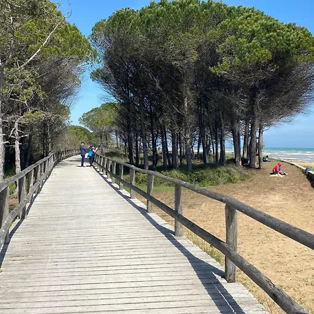 Bright Near * Bibione